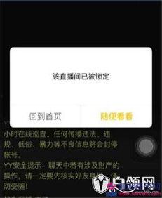 yy挺哥爆料视频,揭秘娱乐圈幕后真相